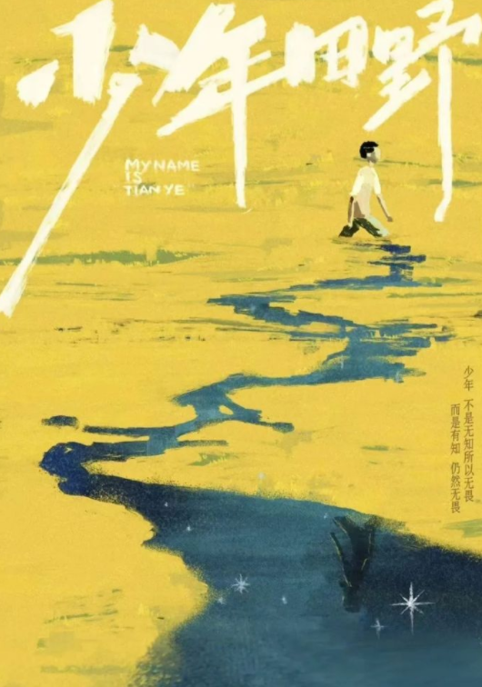 少年田野_剧情介绍_凌云猜谜语