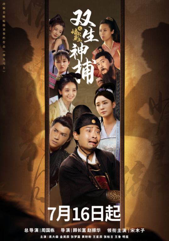 双生神捕之墙头马上_剧情介绍_凌云猜谜语