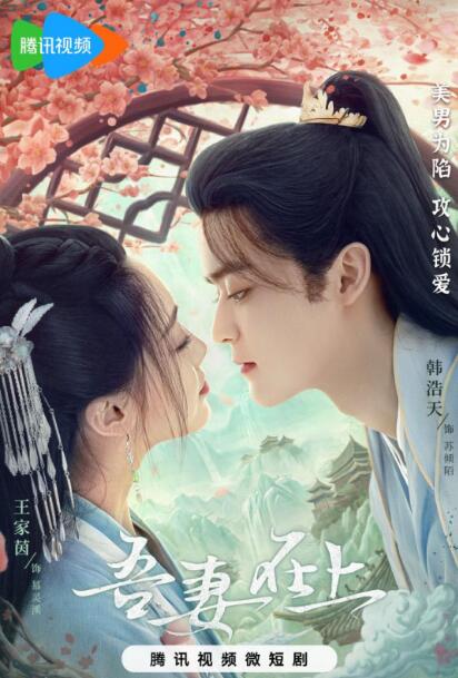 吾妻在上_剧情介绍_凌云猜谜语