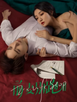 前妻别跑2_剧情介绍_凌云猜谜语