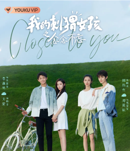 我的刺猬女孩2之念念不忘_剧情介绍_凌云猜谜语