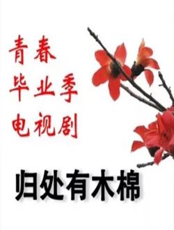 归处有木棉_剧情介绍_凌云猜谜语