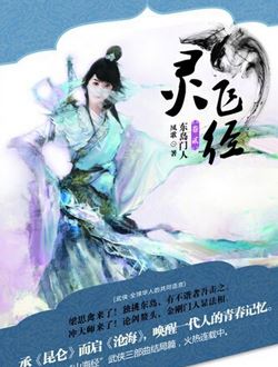 灵飞经_剧情介绍_凌云猜谜语