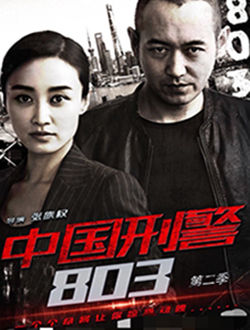 中国刑警803之真心英雄_剧情介绍_凌云猜谜语