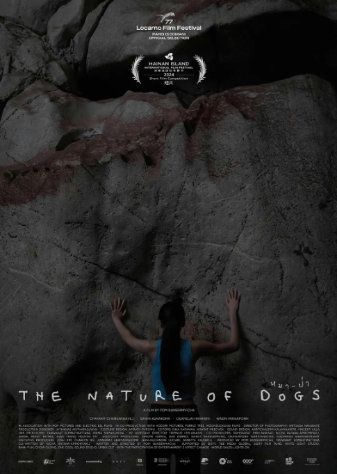 狗的天性_剧情介绍_凌云猜谜语