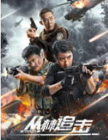 丛林追击_剧情介绍_凌云猜谜语
