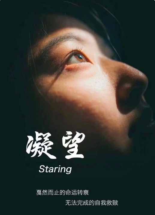 凝望_剧情介绍_凌云猜谜语