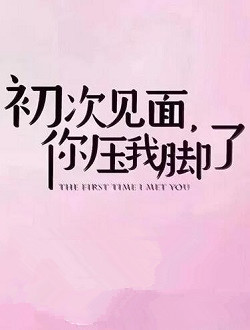 初次见面，你压我脚了_剧情介绍_凌云猜谜语