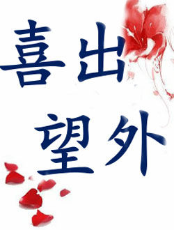 喜出望外_剧情介绍_凌云猜谜语