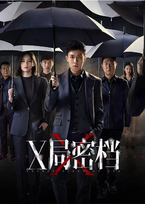 X局密档剧情介绍_凌云猜谜语