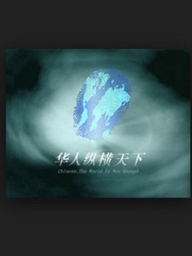 华人纵横天下_剧情介绍_凌云猜谜语