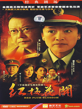 红梅花开_剧情介绍_凌云猜谜语
