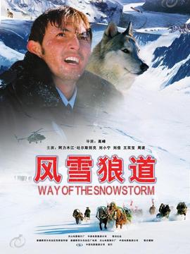 风雪狼道_剧情介绍_凌云猜谜语