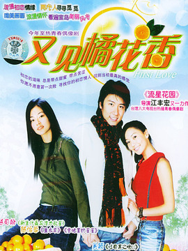 又见橘花香_剧情介绍_凌云猜谜语