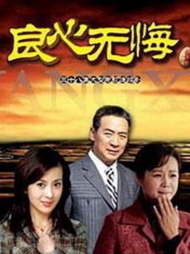 良心无悔_剧情介绍_凌云猜谜语