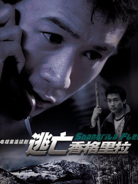 逃亡香格里拉_剧情介绍_凌云猜谜语