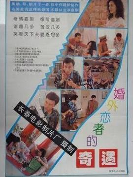 婚外恋者的奇遇_剧情介绍_凌云猜谜语