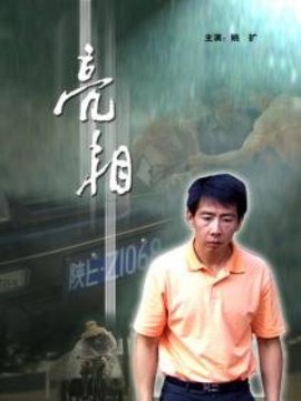 亮相_剧情介绍_凌云猜谜语