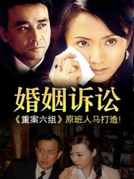 婚姻诉讼_剧情介绍_凌云猜谜语