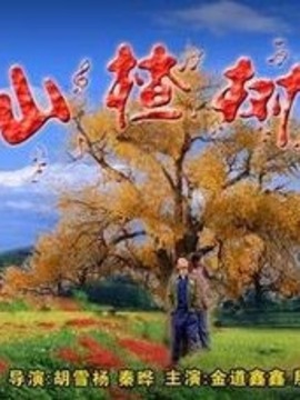 山楂树_剧情介绍_凌云猜谜语