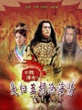 北魏传奇之爱归五胡沧海情_剧情介绍_凌云猜谜语