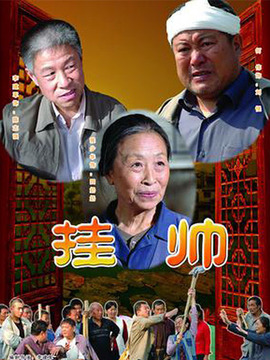 挂帅_剧情介绍_凌云猜谜语