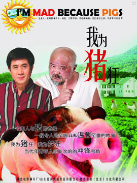 我为猪狂_剧情介绍_凌云猜谜语