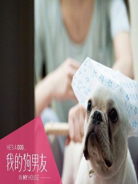 我的狗男友_剧情介绍_凌云猜谜语