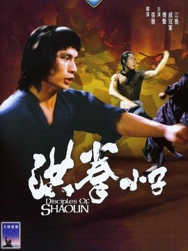 洪拳小子_剧情介绍_凌云猜谜语