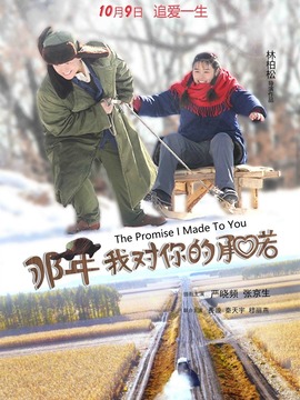 那年我对你的承诺_剧情介绍_凌云猜谜语