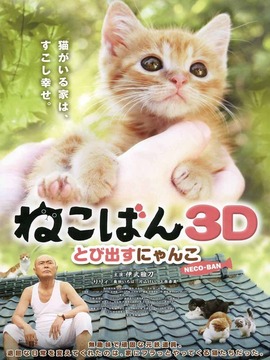 小猫跳出来3D_剧情介绍_凌云猜谜语