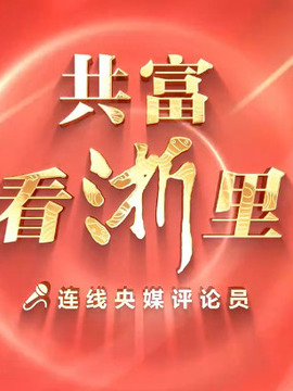 共富看浙里:年轻的朋友来相会_剧情介绍_凌云猜谜语